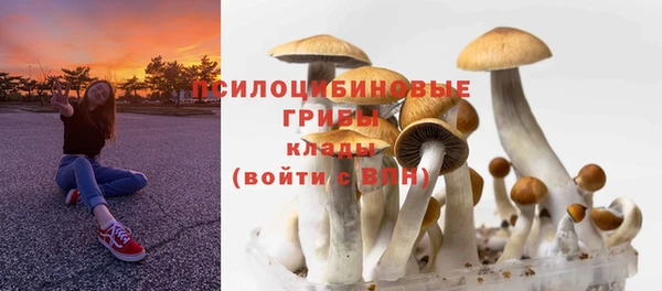 скорость Горно-Алтайск
