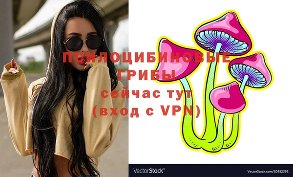 mix Горняк