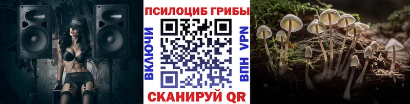 Купить закладки  Кудымкар  Галлюциногенные грибы Psilocybine cubensis 